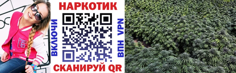 Купить Метадон  A-PVP  ГАШ  МЕФ  Каннабис  Хабаровск